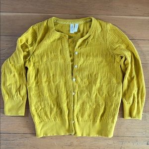 Anthropologie knit cardigan